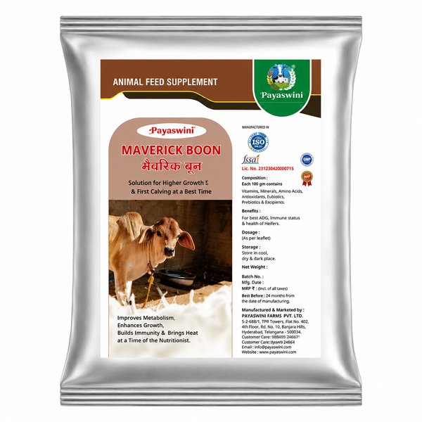 Payaswani Mavrick Boon — 5 kg