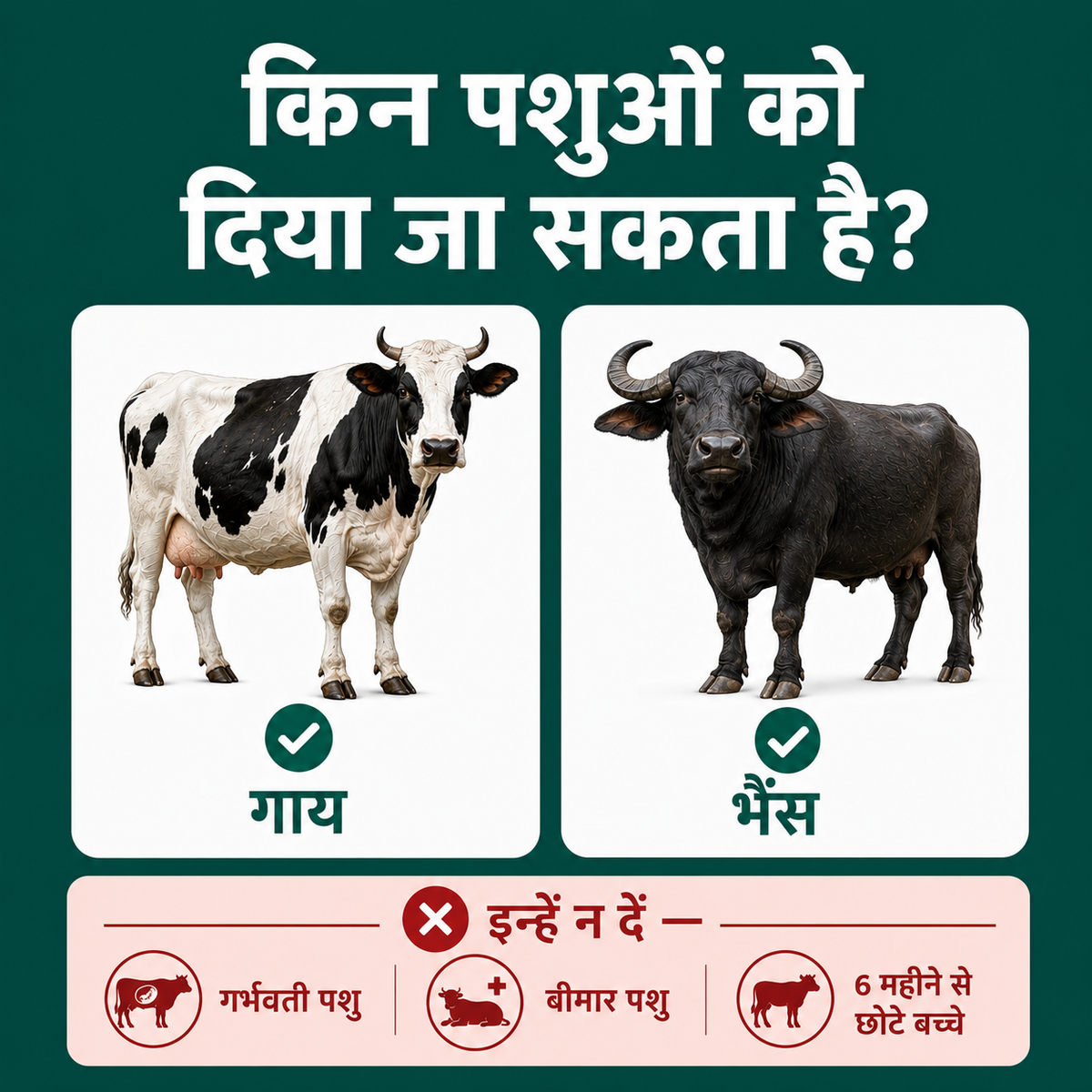 खुश गाय, ज़्यादा दूध